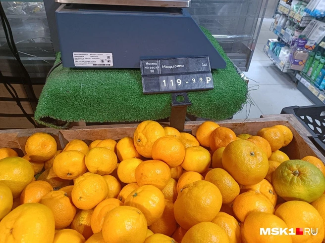 Источник: Анастасия Харитонова / MSK1.RU