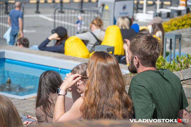 В июне из 1100 мест свободны почти все | Источник: Елена Буйвол / VLADIVOSTOK1.RU