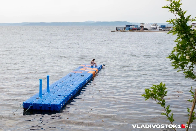 Источник: Елена Буйвол / VLADIVOSTOK1.RU