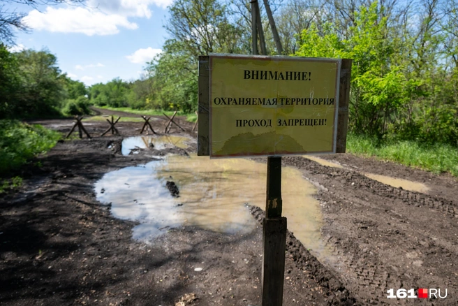 Источник: Евгений Вдовин / 161.RU