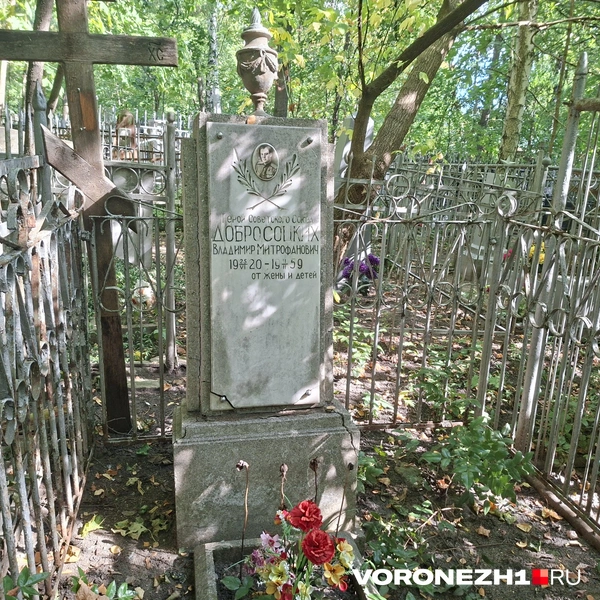 Источник: Алёна Воропаева / Voronezh1.ru