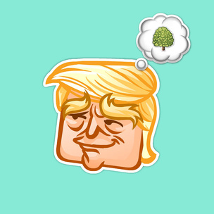 Как Трамп посадил дерево около Белого дома, или очередной мем про президента США