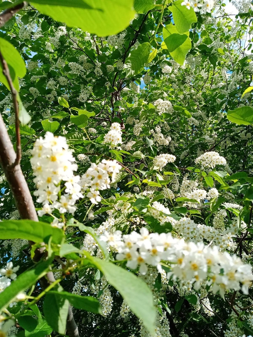 Источник: Анжелика Кулебякина