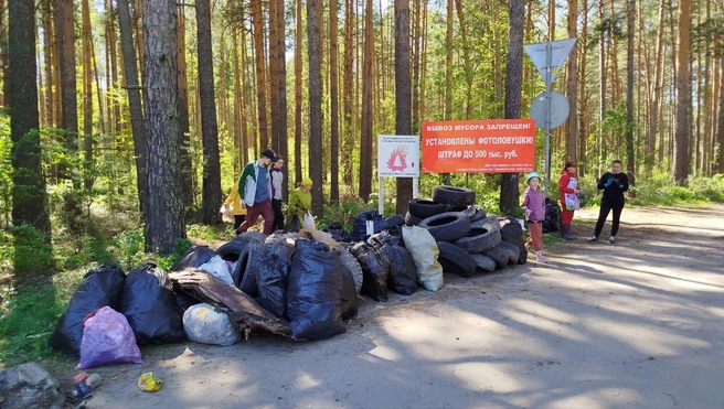 Повсюду стоят информационные щиты, но напоминания о штрафах никого не пугают | Источник: Юлия Кондинкина