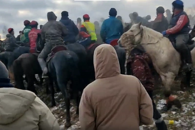 В Подмосковье оштрафовали организаторов кок-бору