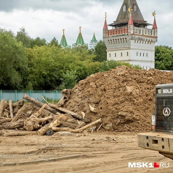 Сейчас на территории Черкизовского рынка можно увидеть строительную технику, которая расчищает площадку | Источник: Дмитрий Толстошеев / MSK1.RU
