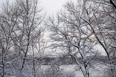 Explosion and outages mark January 29 in Russia's Don region