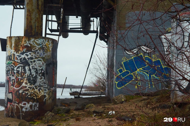 Источник: Антон Данилов / 29.RU