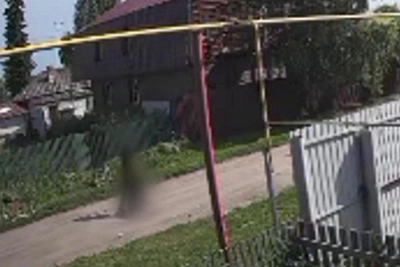 Novosibirsk man sentenced to conditional year for killing stray dog