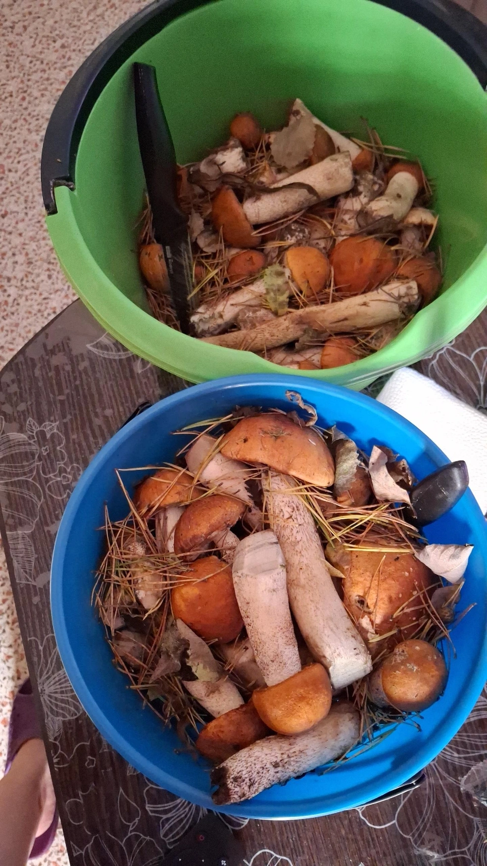 Столько грибов набрали за два часа в районе посёлка Становая — тоже Берёзовский район | Источник: «Уральский яжегрибник» / Vk.com