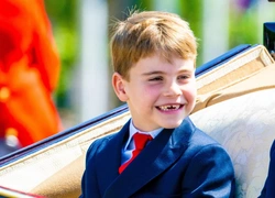 Правда ли, что принц Луи может унаследовать титул герцога, отнятый у Эндрю