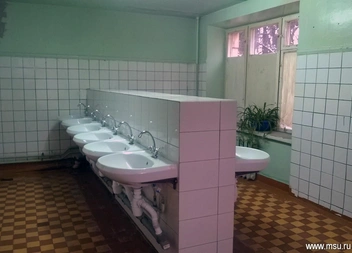 Общие умывальники | Источник: МГУ / msu.ru