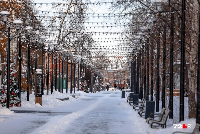 А вам нравится снежная зима? | Источник: Ирина Шарова / 72.RU