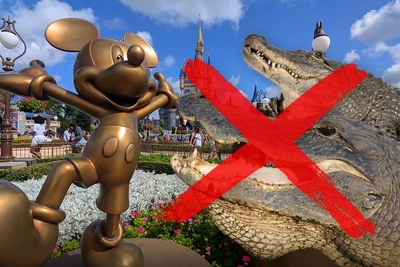 414 аллигаторов удалили из Disney World после трагедии