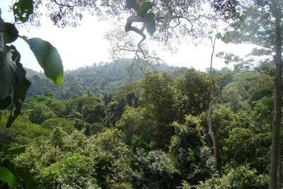 Tourist contracts rare disease after Bali purification ritual