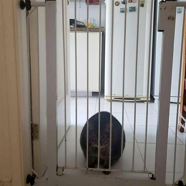 Источник: соцсети