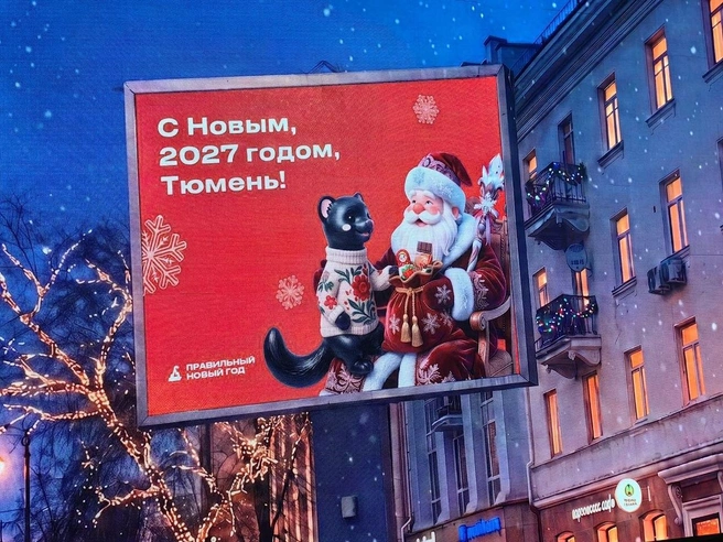 Соболи тоже хотят получать подарки — такой сюжет могут использовать в оформлении. | Источник: Павел Красоткин / 72.RU