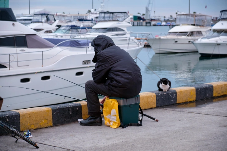 Рыбак и ждущий улова кот и сочинском порту | Источник: Serg Zastavkin/Shutterstock/Fotodom.ru