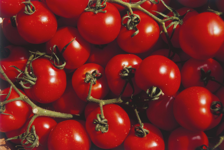 10 фактов о помидорах
