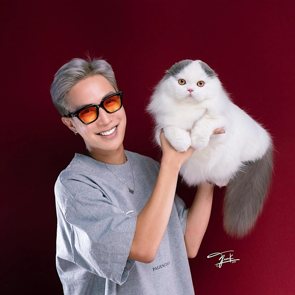 Второе место (18&nbsp;576 баллов) занимает шотландский вислоухий кот из Таиланда, которого зовут MelodySharm P-Shark | Источник: Frunk via WCF