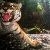 Аватарка ателло