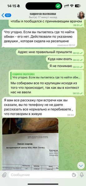 В день, когда все случилось, Родион был на нервах. Это видно по переписке | Источник: Родион Проводин