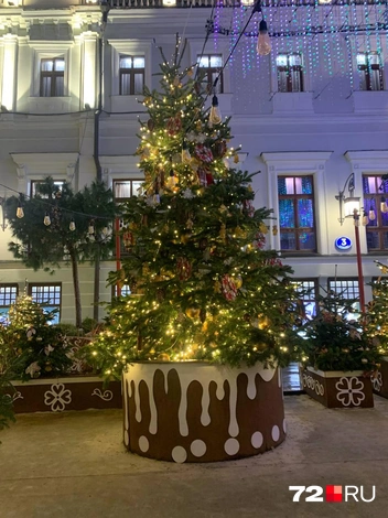 Источник: 72.RU