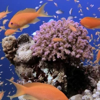 Куда поехать в отпуск на пляж в 2026 году: 5 направлений