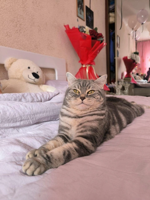 «Шуба греет😅🦁» | Источник: читательница NGS24.RU Veronika