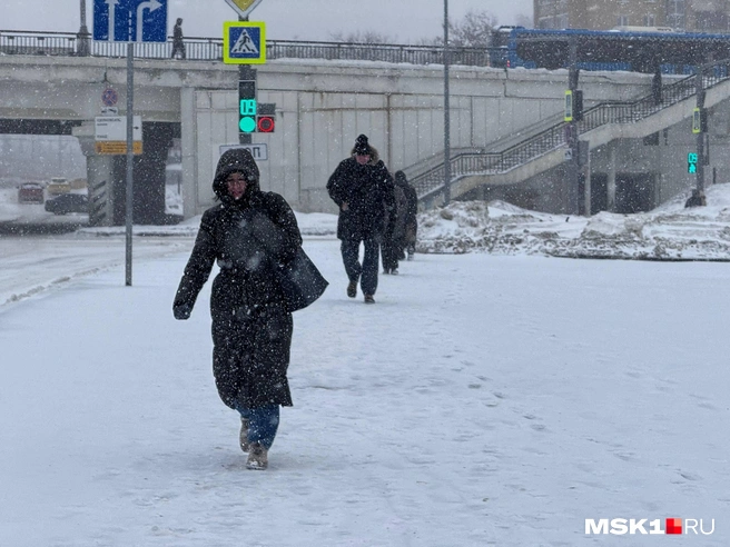 Дорога к метро займет сегодня больше времени из-за снегопада | Источник: Дмитрий Толстошеев / MSK1.RU