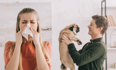 Аллергия на животных: как ужиться с домашним питомцем?