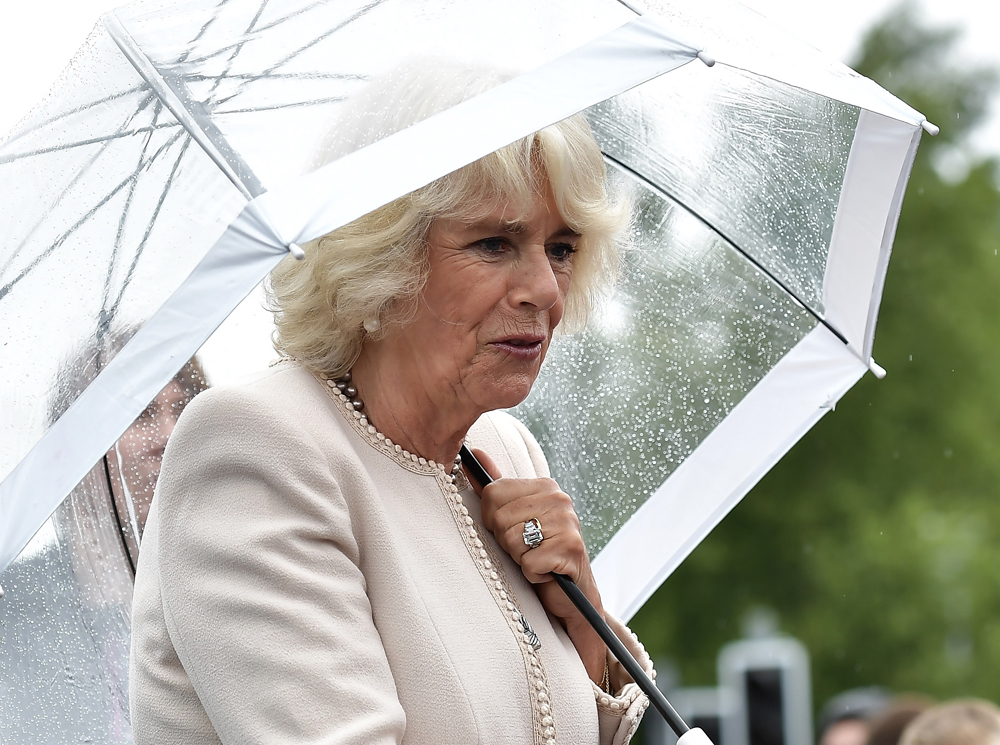 Герцогиня Камилла с визитом в Ирландию и в Северную Ирландию, 13 июня 2018 года | marieclaire.ru