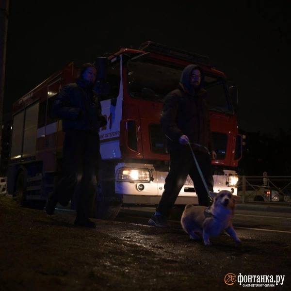 Источник: Андрей Бок / FONTANKA.RU