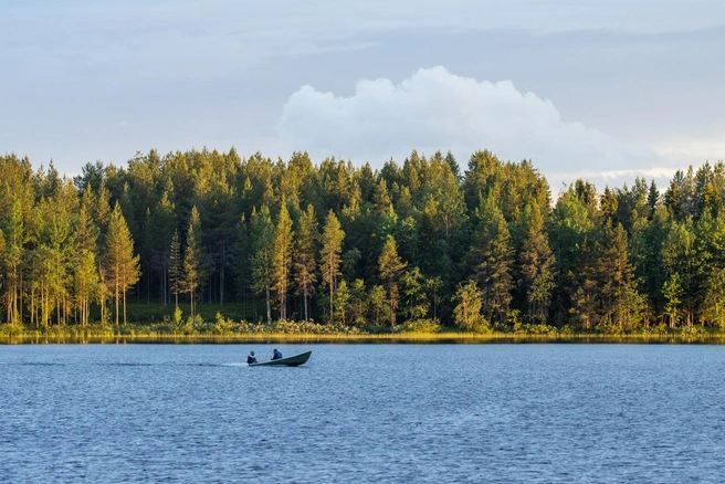 В старинной деревне Ленинградской области появился мобильный интернет | Источник: iStock.com / Karl Ander Adami