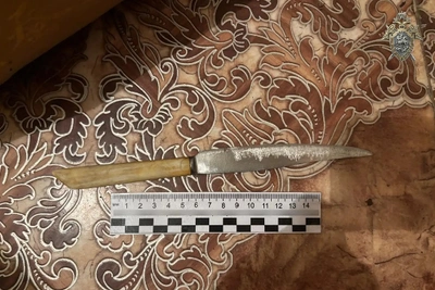 Амурчанке грозит психбольница за нападение на соседку