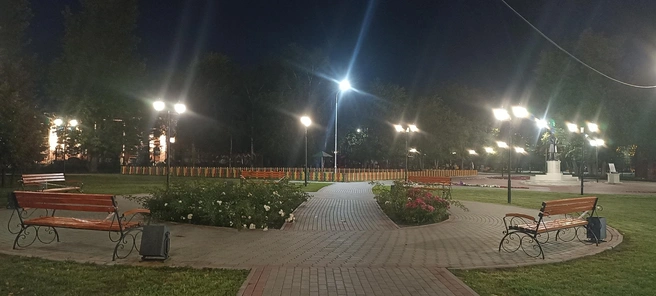 Теперь в Горсаду спокойно цветут цветы и никаких коз | Источник: Анна Сарапульцева /45.RU