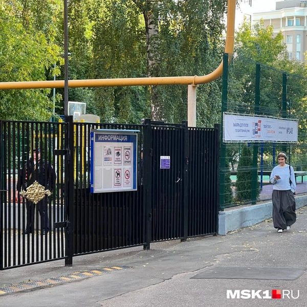 Источник: Дарья Шутова / MSK1.RU