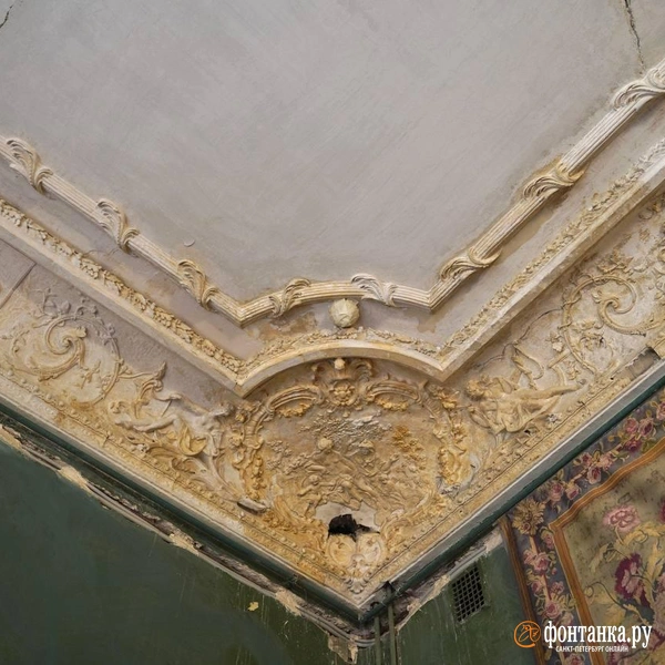 Источник: Павел Даиси / «Фонтанка.ру»