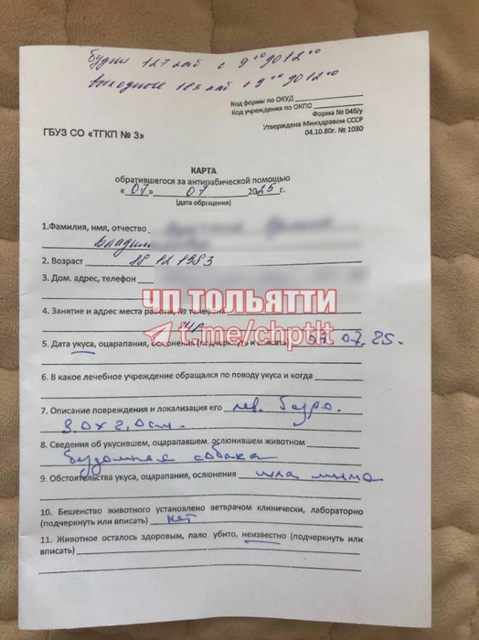 Женщина сразу обратилась в больницу | Источник: «ЧП Тольятти» / vk.com
