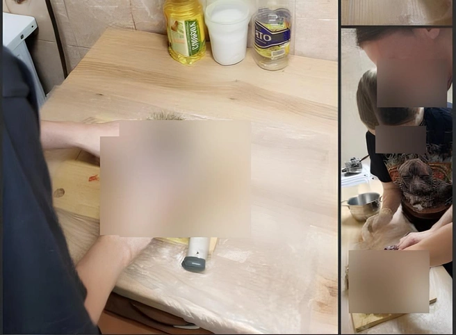 Студент разделал животное на кухне общежития № 8/2 | Источник: читатель НГС