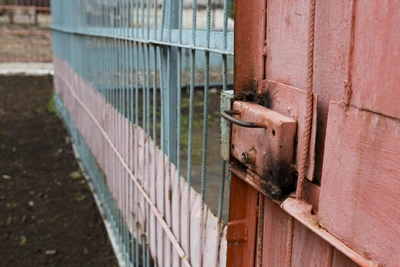 Рязанка получила колонию за фиктивную регистрацию мигрантов