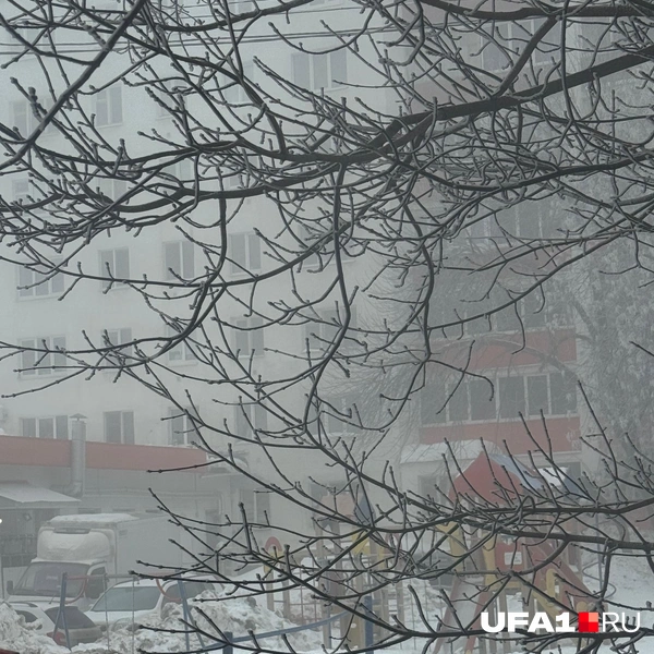 Источник: ufa1.ru