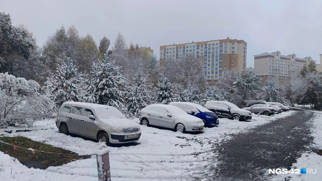 Водителям пришлось вспомнить, что такое щетка-скребок | Источник: Елена Гуськова / NGS42.RU