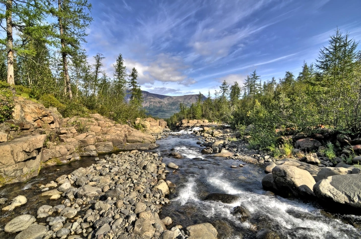 Источник: RobNaw via Shutterstock/Fotodom.ru