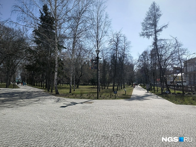 Реконструкция в сквере завершилась чуть больше полугода назад | Источник: Андрей Бортко / NGS.RU