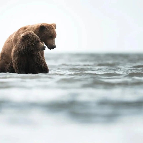 Источник: Matthew Trabold