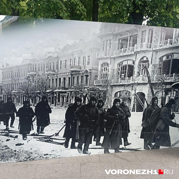 Источник: Алёна Воропаева / Voronezh1.ru
