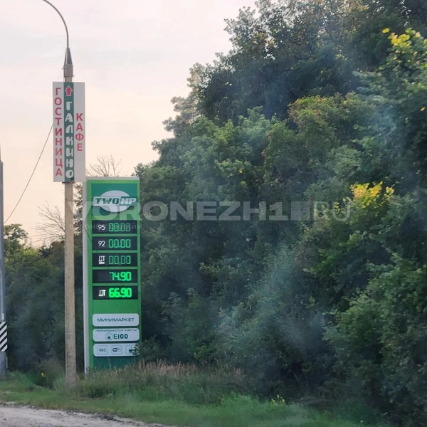 Источник: Ирина Булгакова/Voronezh1.ru