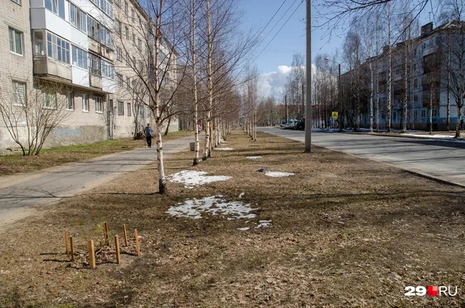 Источник: Александр Тонких