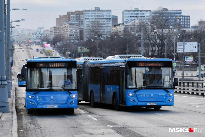 Красивые столичные автобусы | Источник: Дмитрий Толстошеев / MSK1.RU
